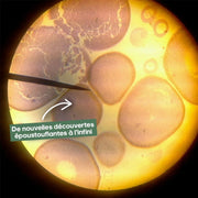 Microscope Portatif Original 💯